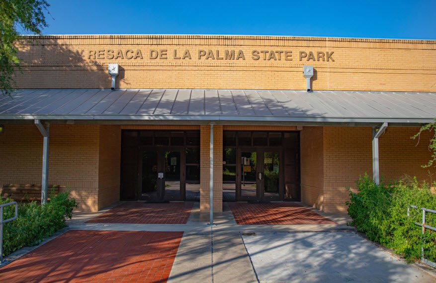 Resaca De La Palma State Park and World Birding Center, Texas, USA